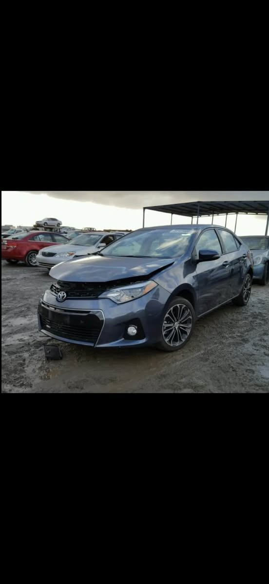 سلام عليكم كورلا اس 
موديل 2016 نيلي 
ضرر قطعة وحدة 
سونار منشور
السيارة جديدة 🚙
رقم اربيل جديد سنوية جديدة 🚦
كير مكينة كفالة 
تخم تاير 
ويل شركة ابلاد🛞
داخل جديد كلش ومغلف 
مواصفات 
كشن جلد 
اشاير بل مري 
كامرة شاشة ابلاد 
مكان ديالى بعقوبة الجديدة 
الاستفسار اتصل او واتساب 
*********** 
السعر 115 ورقة 💵📃
