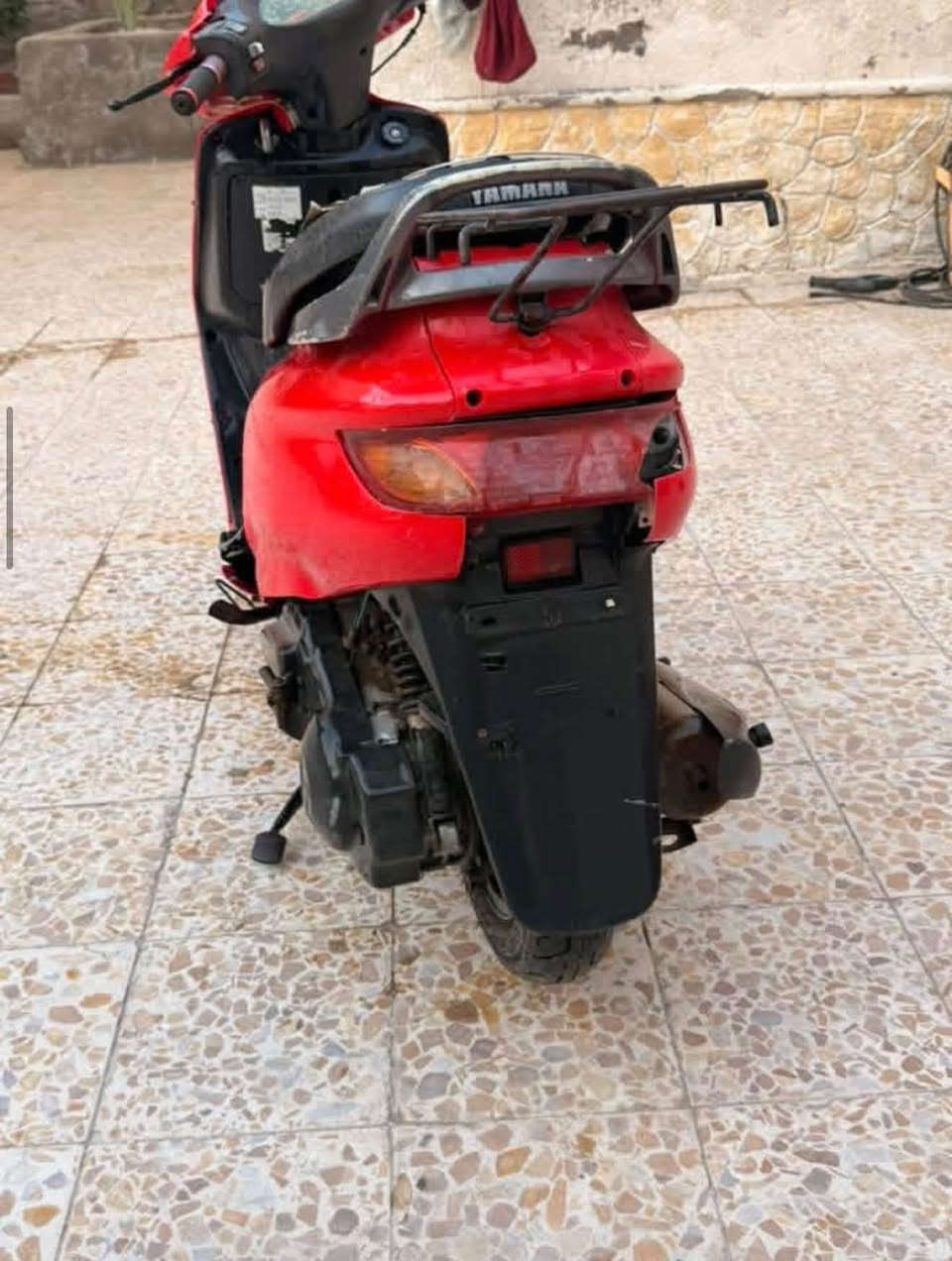 فراشة • فحل • نثية