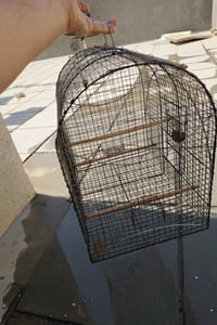 قفص حديد • الرايدة