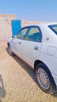 بطة مكفولة • نضافه • قضاء الميمونه