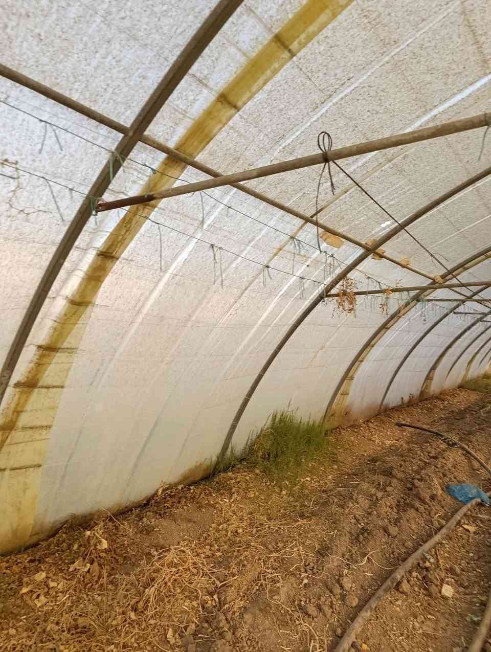 للبيع بيوت 2 اردني  ومريكي لايلون نضيف 56 متر 
المكان بابل مشروع المسيب 
***********
