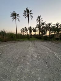 المسيب السويفات • ١٠٠٠م • موقع جيد