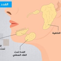 🩻 دور الأشعة الرقمية DR في تشخيص حصوات الغدد اللعابية هل تعاني من ألم ...