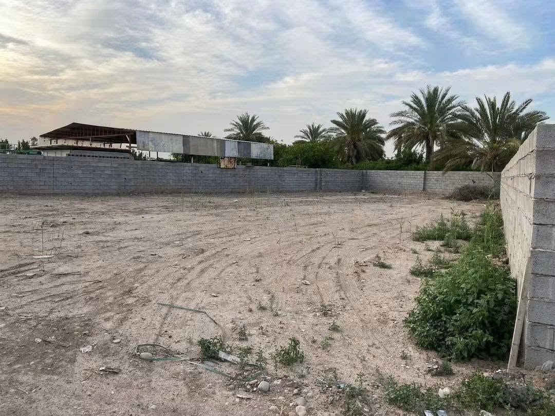 مساء الخير
قطعة ارض للايجار في شارع السكلات  على شارع مقابل سكلة هاشم الحامض المساحة ٧٠٠ متر 
للاستفسار الاتصال على الرقم ***********
