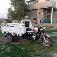 ستوته أم الطير • موديل ٢١