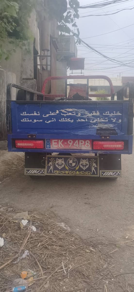 ستوته • ٢٠ فحل • ركبه شرط