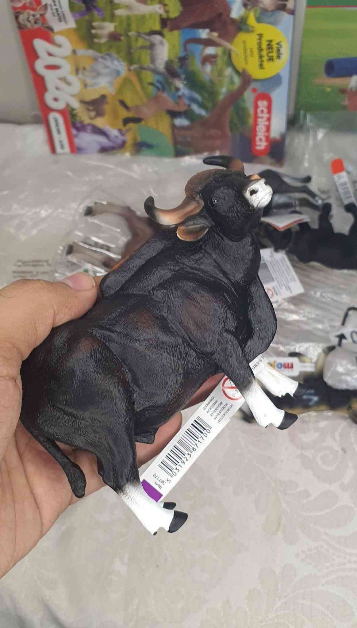 أول شحنة • حجز مسبق • جمال القطع