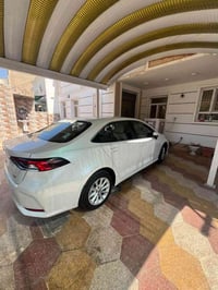 كورلا سارز • ٢٠٢٢ • ٤٥٠٠٠