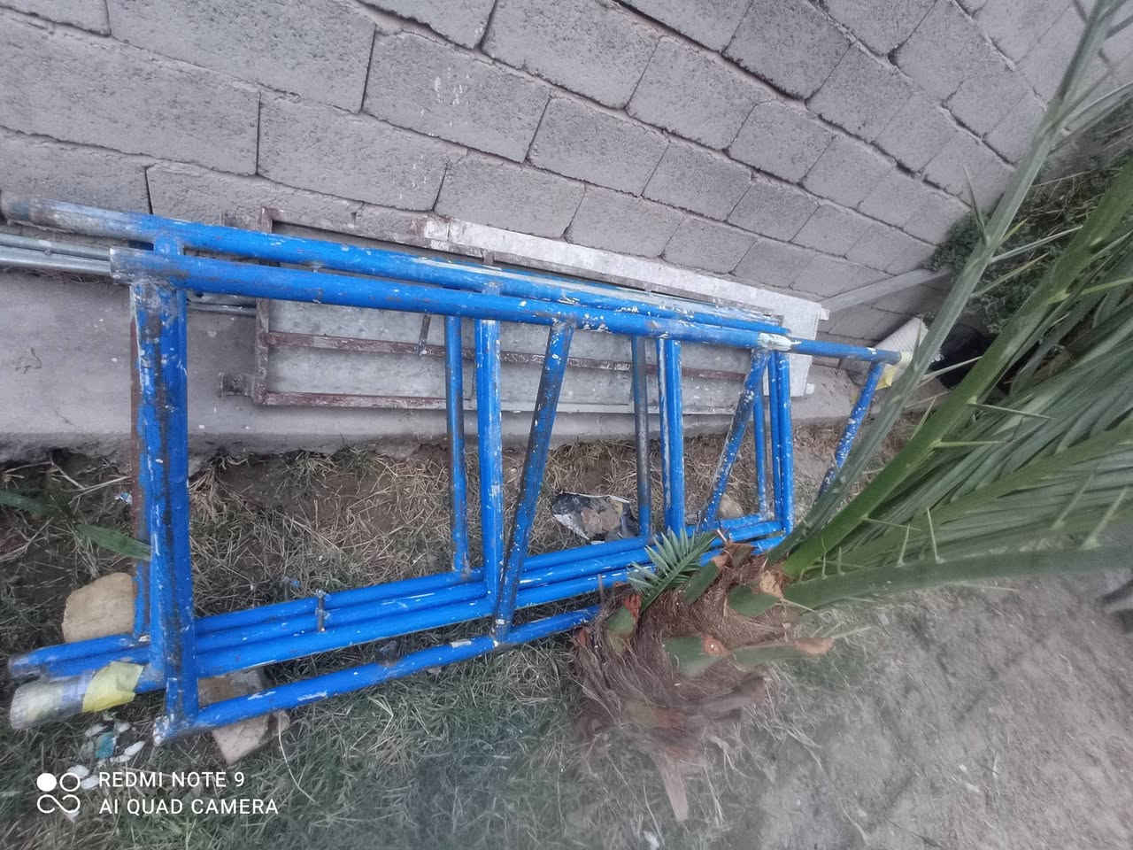 قفص • جديد • دوايه