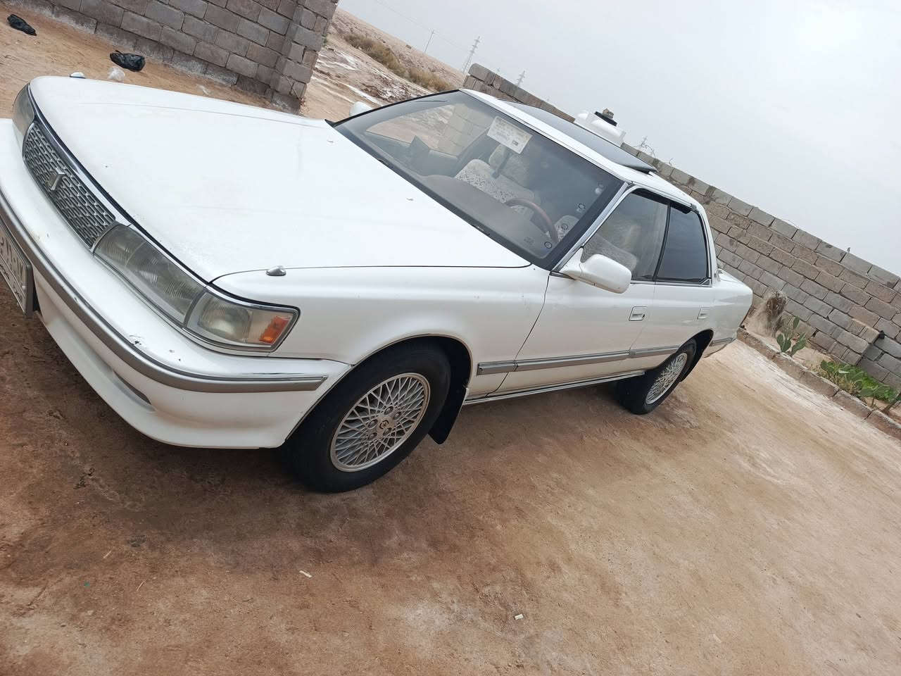 شيزر كصيف • ١٩٩٢ • رقم بصرة