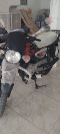 بوكسر • ٢٠٢١ • صولي