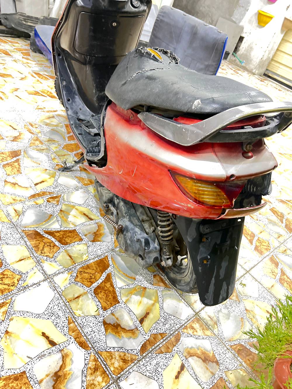 فراشة • حمره • كايمه