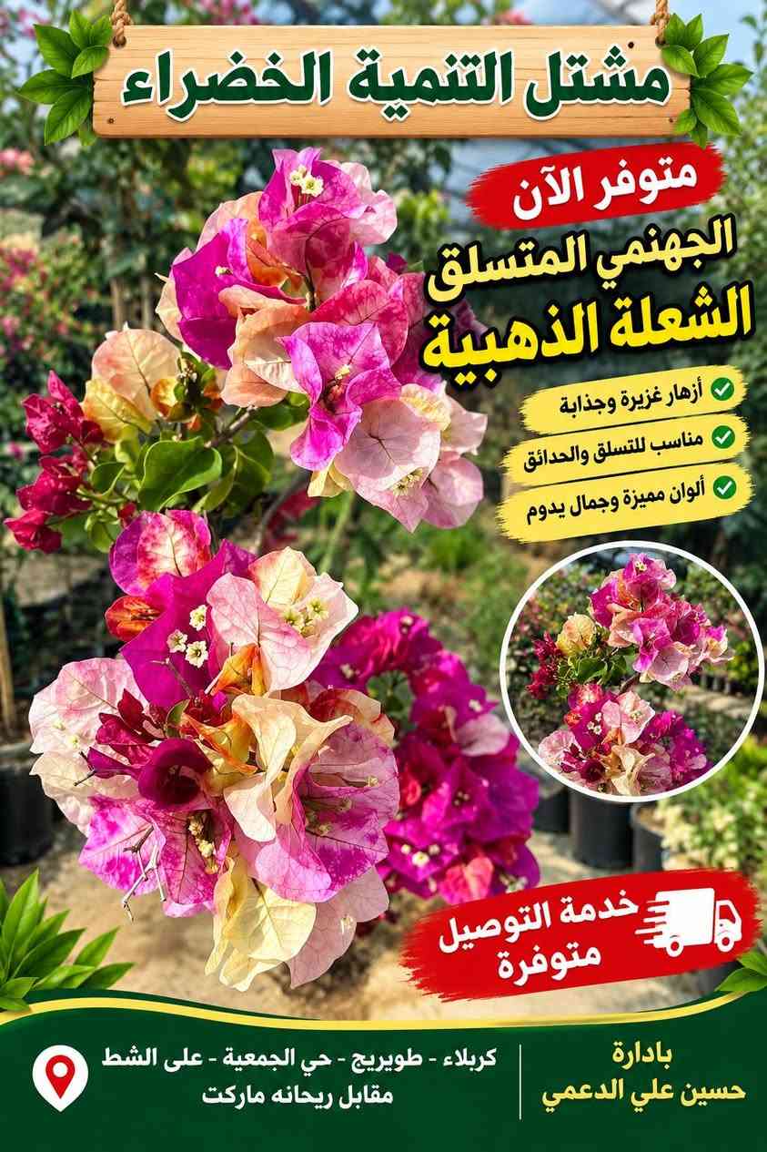 لا توجد تفاصيل

نص مكتوب في الصور:
- مشتل التنمية الخضراء متوفر الآن الجهنمي المتسلق الشعلة الذهبية أزهار غزيرة وجذابة مناسب للتسلق والحدائق ألوان مميزة وجمال يدوم خدمة التوصيل متوفرة كربلاء - طويريج - حي الجمعية - على الشط مقابل ريحانه ماركت بادارة حسين علي الدعمي
- مشتل التنمية الخضراء متوفر الآن الجهنمي الشجري الإيطالي نبات زينة مميز بأزهاره الجميلة وألوانه الزاهية ويتحمل الأجواء الحارة مناسب للحدائق والمنازل والاستراحات. خدمة التوصيل متوفرة للحجز والاستفسار *********** كربلاء - طويريج - حي الجمعية على الشط - مقابل ريحانة ماركت بإدارة حسين علي الدعمي
- مشاتل التنمية الخضراء نُزرع الجمال ... لنحيا بيئة أجمل متوفر لدينا الجهنمي المتسلق الشعلة الذهبية أجمل الألوان وأعلي جودة خدمة التوصيل لجميع محافظات العراق بادارة حسين علي الدعمي كربلاء - طويريج - حي الجمعية على الشط مقابل ريحانه ماركت ***********