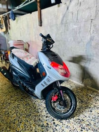 سكنس فحل • ٢٠١٣ • ١٩الف