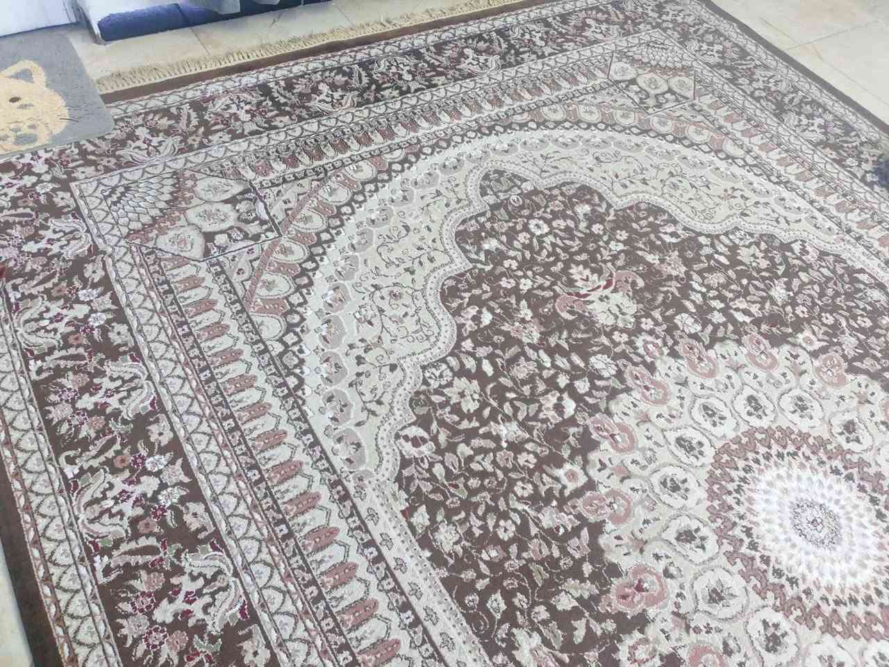 زوليه تركي • نظيفه • ٢٫٥×٣٫٥