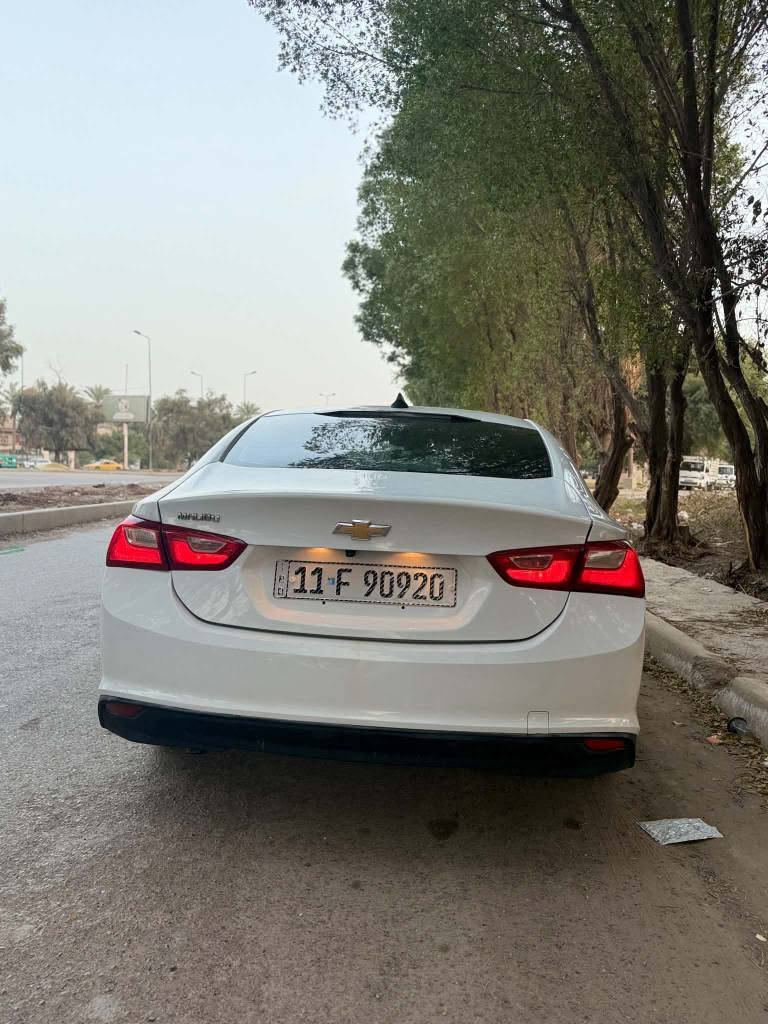 للبيع أو المراوس (حسب القناعة)

🚗 شيفروليه ماليبو 2023 (نص مواصفات)

المحرك: 1500 توربو (كير ومحرك بشرط الخير).

المسافة المقطوعة: 71,000 كم.

الرقم: بغداد (باسم صاحب السيارة، تحويل مباشر).

المواصفات:

تشغيل عن بعد.

رادار أمامي.

نظام تحديد مسار.

تبريد قطعتين.

حالة البودي والحادث:

حادث البجم كبس (عدا الدعامية) وكما موضح بالصور.

📞 للاستفسار والتواصل (اتصال أو واتساب): *********** بغداد, العراق
