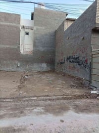 كاع ابو علي الدراجي • ٥٠م • سند ٢٥