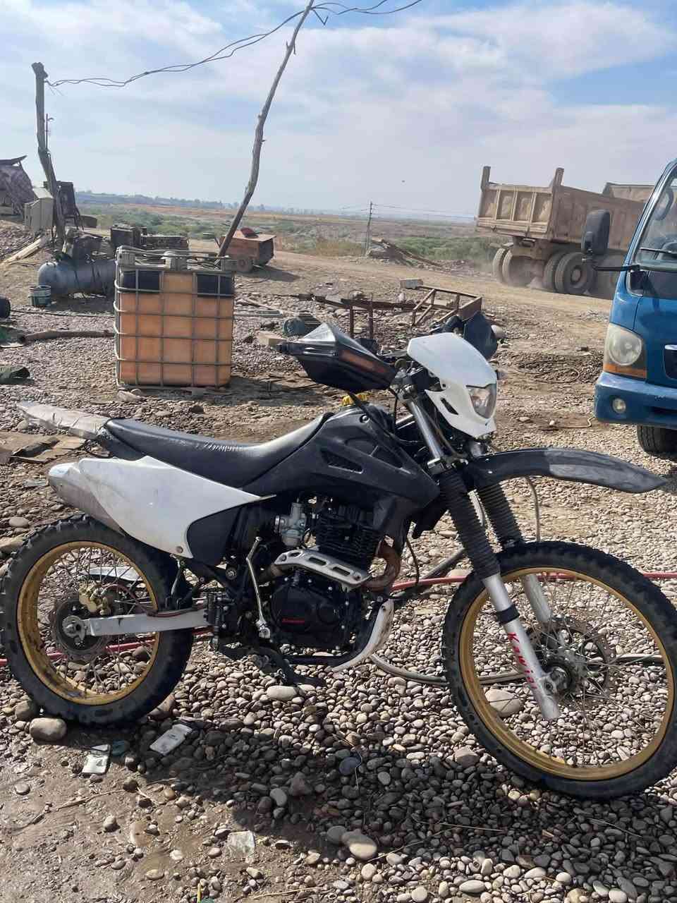 كاويار • موديل 25 • معمر جديد