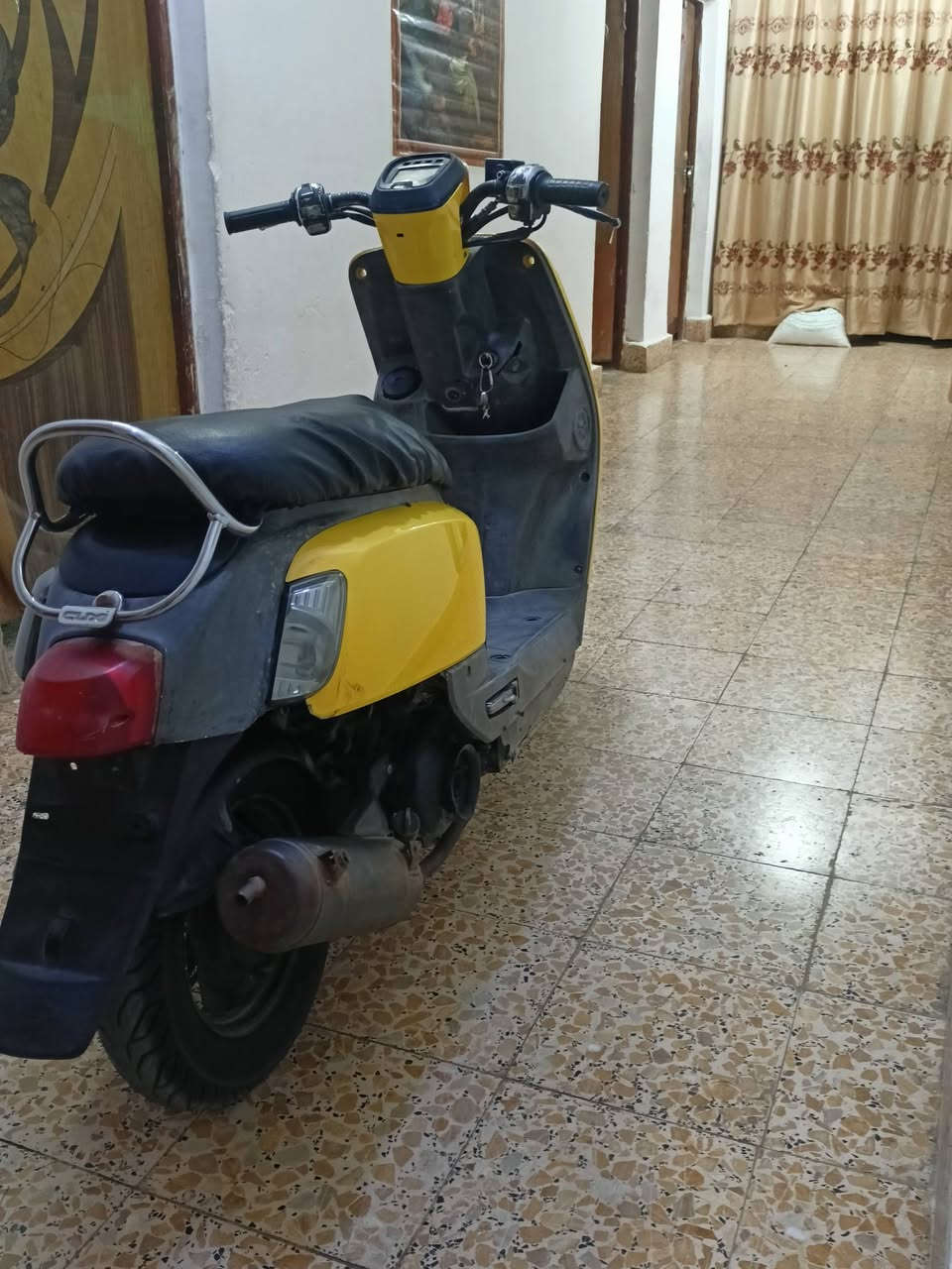 ماكس بوليسي • نوزل • مكينه نعومه