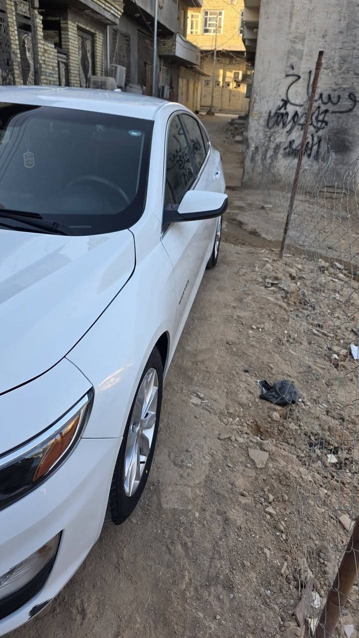 ماليبو • ٢٠٢٣ • رقم اربيل