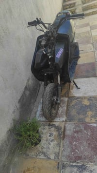 فراشه • ٣٠٠ • صارله سنه