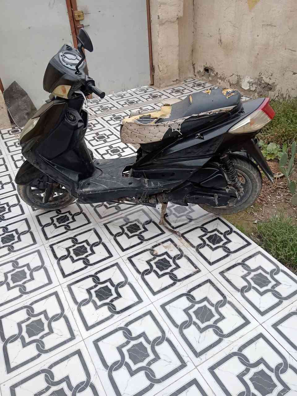سكنس • عوزه ترتيب