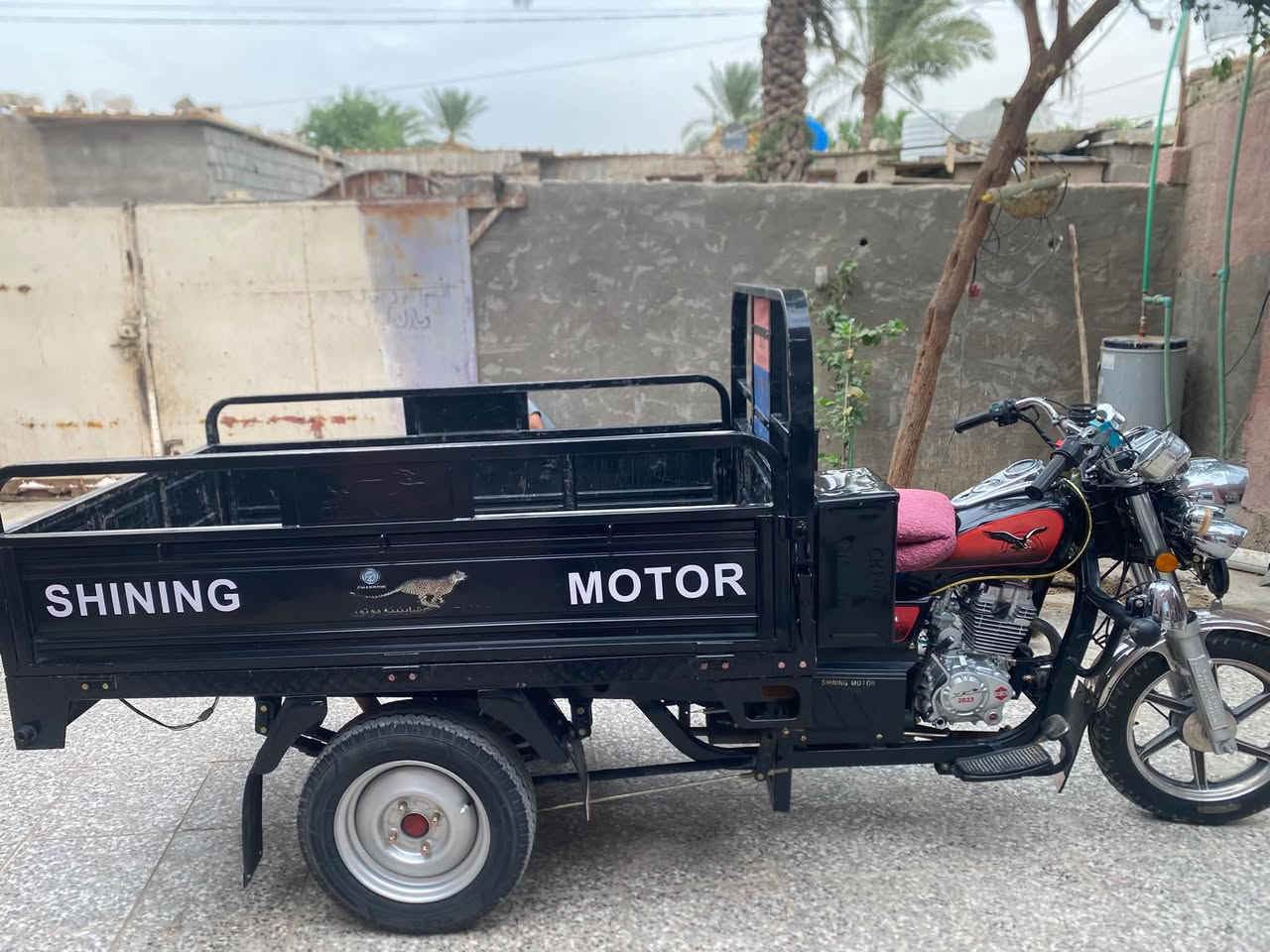 ستوته • ٢٠٢٣ • كمرك مدفوع