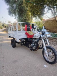 ستوته • ٢٠١٢ • ابيض