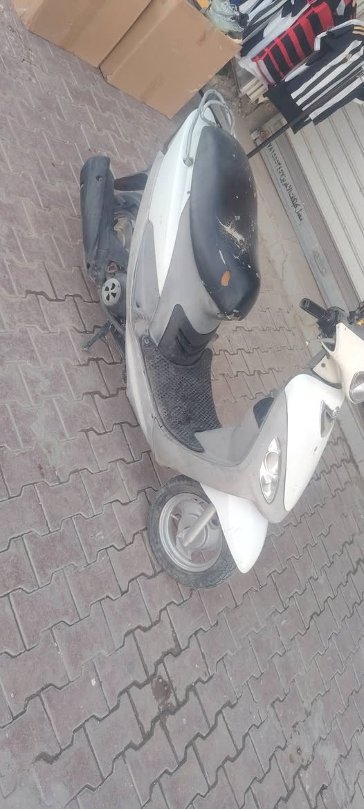 منغولي للبيع مفتوحه لاسيك ولف فقط سعر ٥٠٠ وبيه مجال رقم ***********
