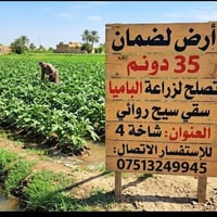 شاخه ٤ • ٣٥ دونم • باميا