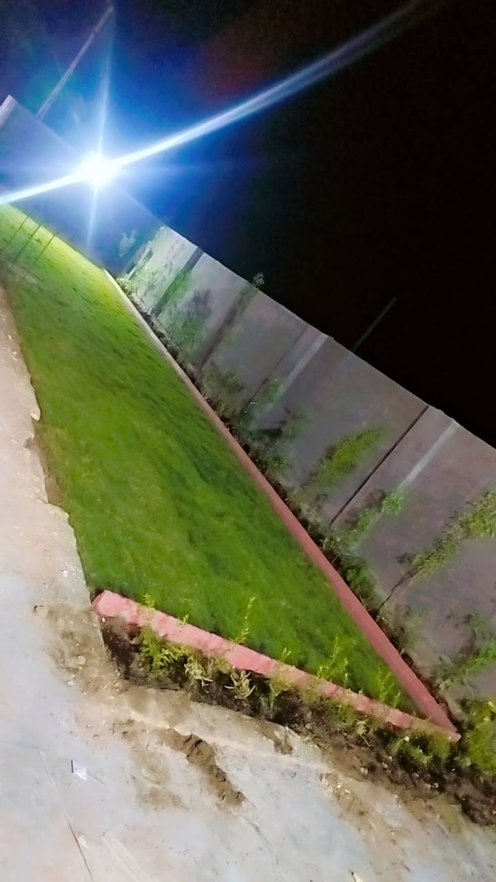 عندك حديقة بالديوانية وحاير بترتيبها 
تواصل ويانة ونرتبلك حديقتك باجمل صورة
من دفن التربة والتسميد والنباتات والديكور والثيل
للحجز والاستفسار مراسلة الصفحة
او الاتصال على الرقم ***********
