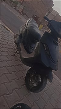 فراشه • شغاله • كهربايات