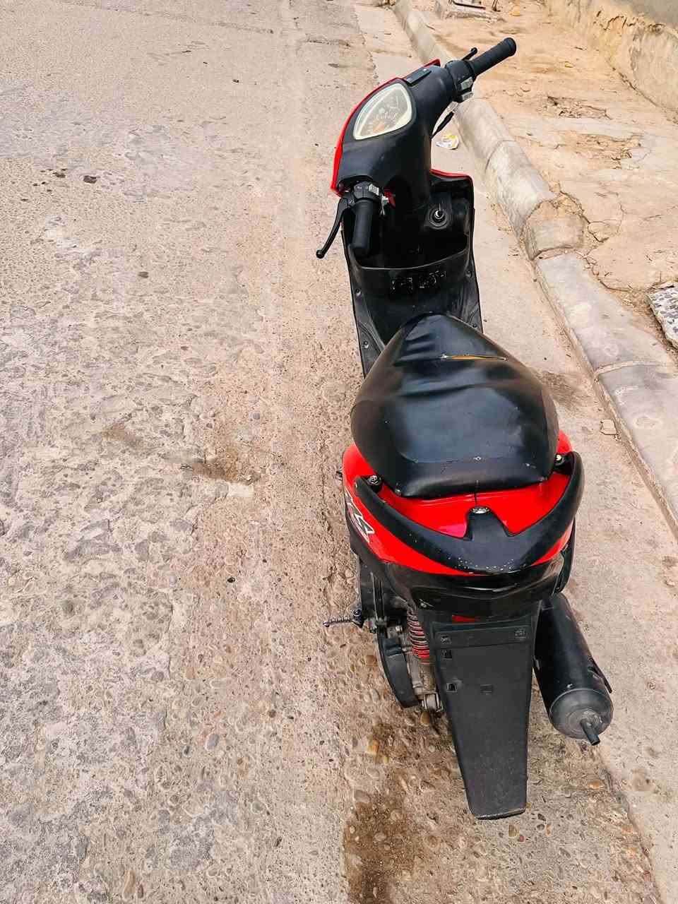 ماكس • بوشه ٥٥ • شغاله