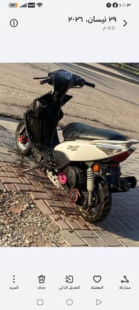 ماكس مضلع • تفصيخ • شعب