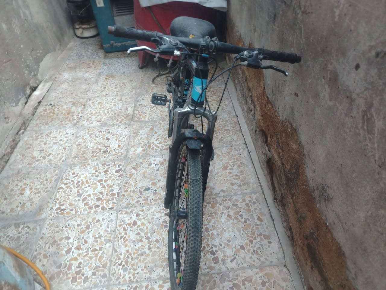 بيسكل • للبيع