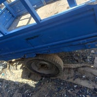 ستوته • نظيفه • تنومه