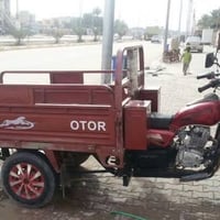 ستوته • اصوليه • مرتبه
