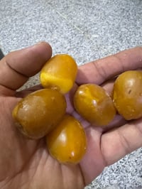 فسايل • عبد الهادي • ديالى