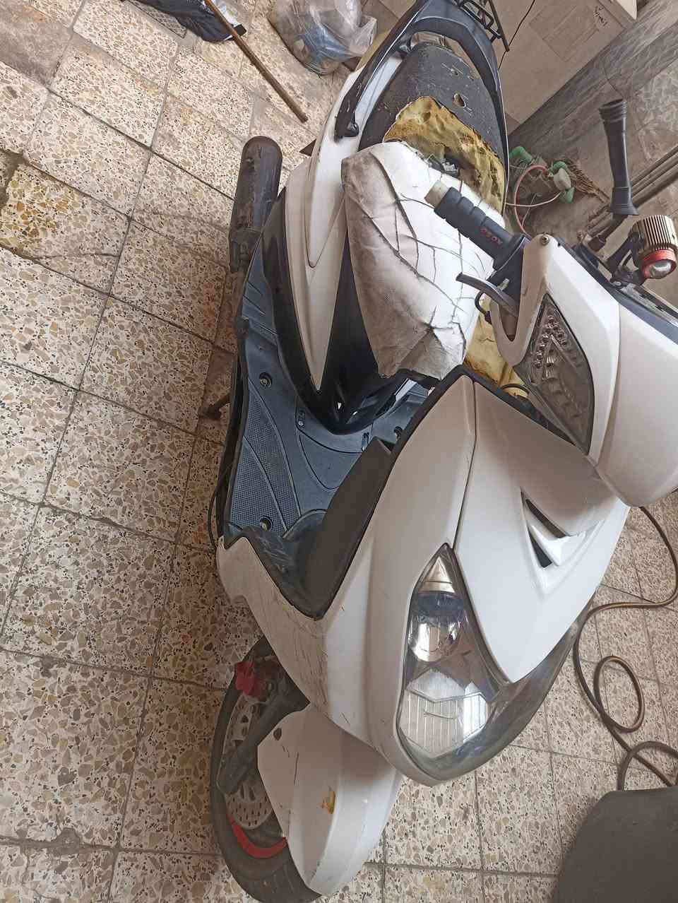 سكنس • شلعه • اوراق