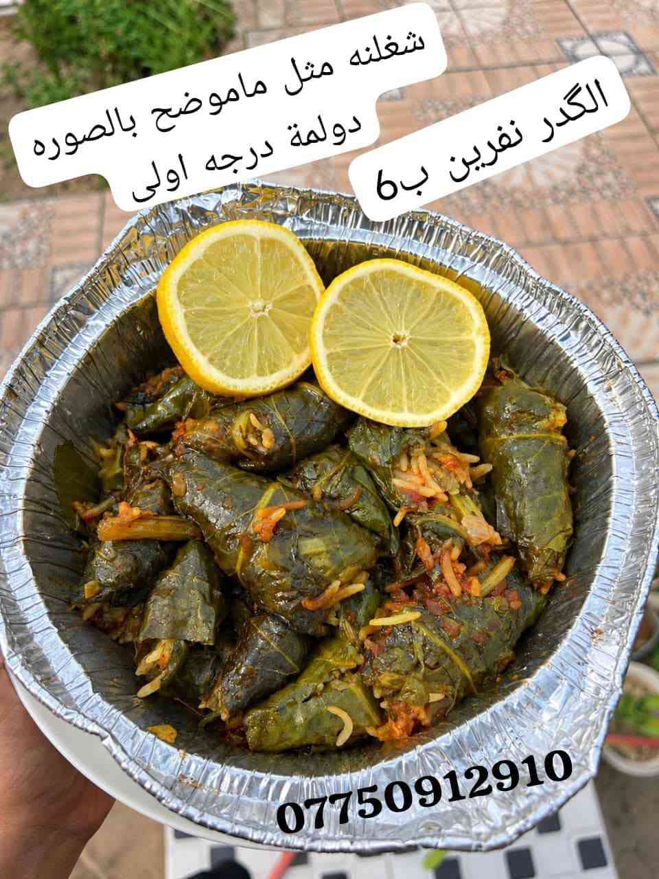 الشطرة والناصرية • توصيل • وجبات