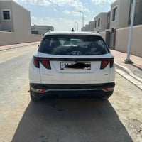 توسان ٢٠٢٤ • وارد امريكي • البصرة
