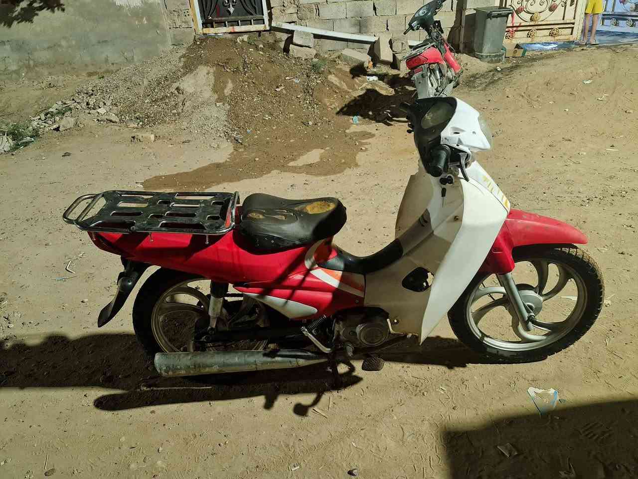 سرفيز • ٢٠١٤ • سلف