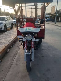 ستوته • بدون اوراق • موديل 22