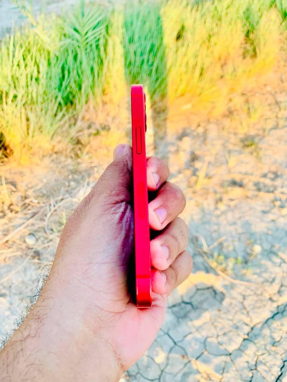 ايفـون 12 مني مكفـول ♥️
بطارية 70% 

ذاكره 64 

نظافة 95% 

كلشي شغـال ع الفحص وين ميعجبك ♥️

مكاني بابل الكفـل

للتواصل خاص أو على الرقم وبي واتسـاب ***********

موجود توصيل للمحافظات ♥️
