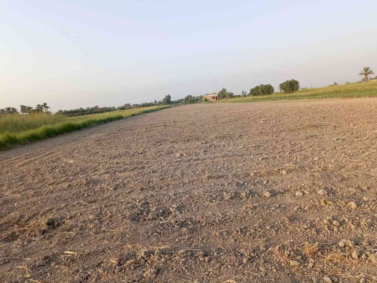 ارض زراعيه • شط الديوانيه • طابو ٢٥سنة