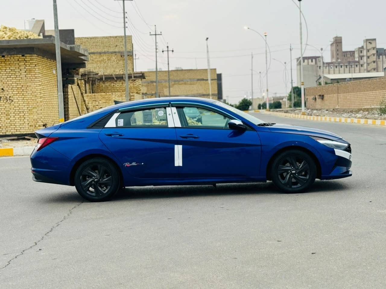 النترا ٢٠٢٢ • وارد امريكي • كشنات جلد