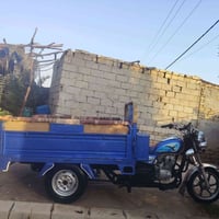 ستوته • ٢٠٢٣ • مكفولة