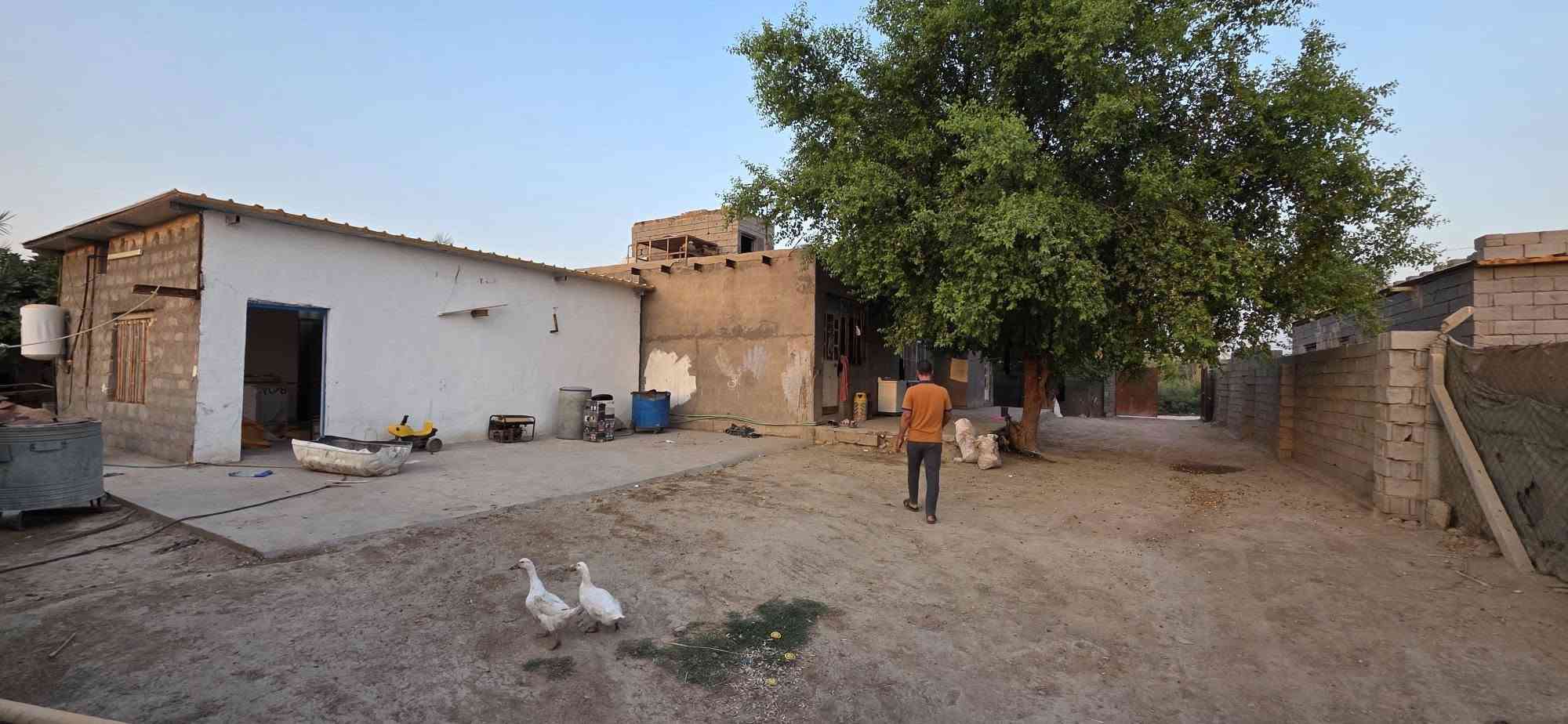 نص دونم طابوا زراعي سند 25 على طريق ابو الجاسم يبعد عن الشارع العام 400م يحتوي على بيت متكون من غرفتين واستقبال وصاله ومطبخ وصحيات ومشتمل صغير  مع غرفه وهول الوجه 20م النزال 70م مع نهر قرب البيت السعر ب 49 مليون 
الاستفسار  ***********
