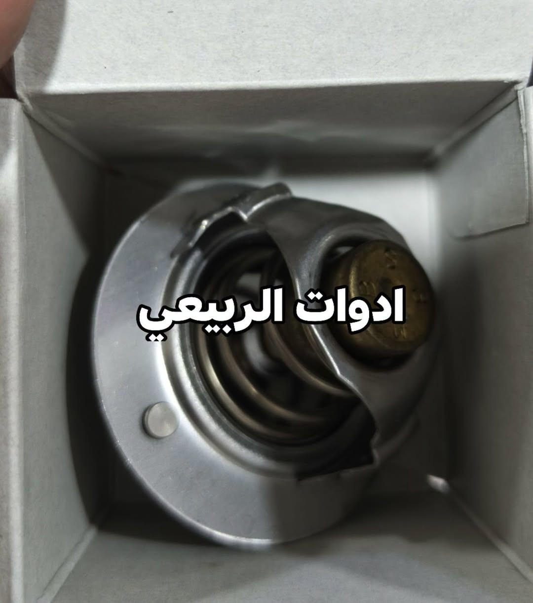 ولف حماوة • اصلي ياباني • توصيل محافظات