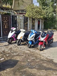 للبيع كلهن للاستفسلر 07715378650. واتساب  المكان بغداد شعب بغداد, العر...